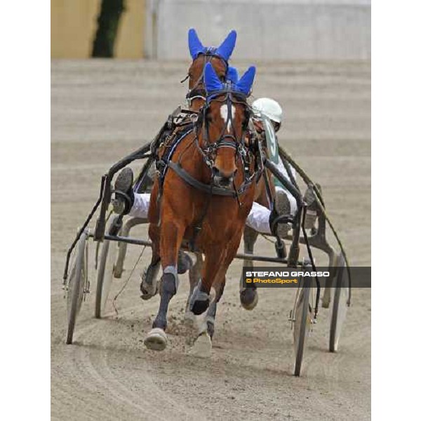 Nieves Vl followed by Nottediluna Spin warming up before winning the Gran Premio Italia Filly Bologna - Arcoveggio racetrack, 5th april 2010 ph. Stefano Grasso
