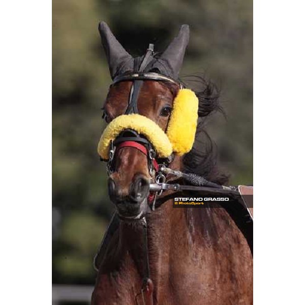 Close up for Nevera warming up before the start of the Gran Premio Italia Bologna - Arcoveggio racetrack, 5th april 2010 ph. Stefano Grasso