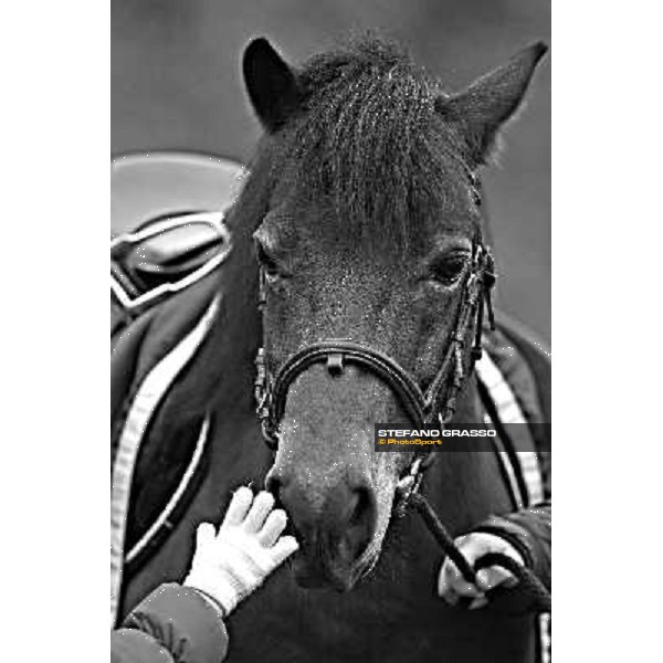 moments at Arcoveggio racetrack Bologna - Arcoveggio racetrack, 5th april 2010 ph. Stefano Grasso