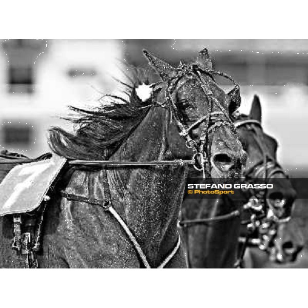 the finish line at Arcoveggio racetrack Bologna - Arcoveggio racetrack, 5th april 2010 ph. Stefano Grasso