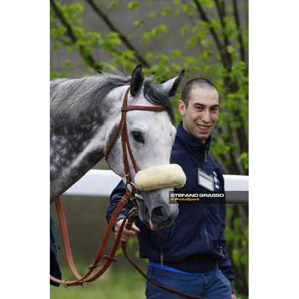 Voila Ici parading before winning the Premio Federico Regoli Milan, San Siro racetrack 11th april 2010 ph. Stefano Grasso