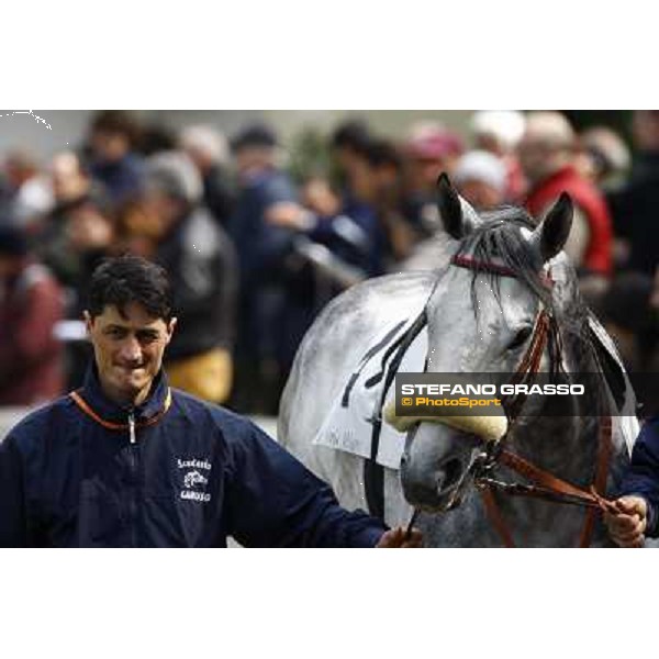 Voila Ici parading before winning the Premio Federico Regoli Milan, San Siro racetrack 11th april 2010 ph. Stefano Grasso