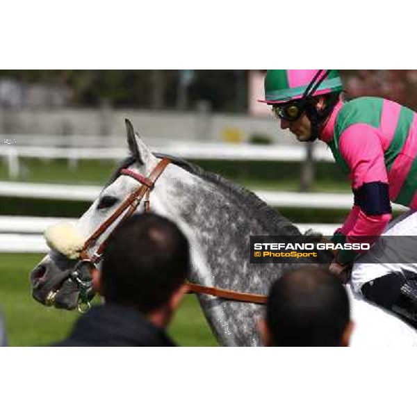Mirco Demuro with Voila Ici goes to the start of the Premio Federico Regoli Milan, San Siro racetrack 11th april 2010 ph. Stefano Grasso
