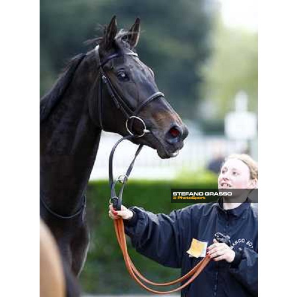 Carioca walking after winning the Premio Seregno Milan - San Siro racetrack, 11st april 2010 ph. Stefano Grasso