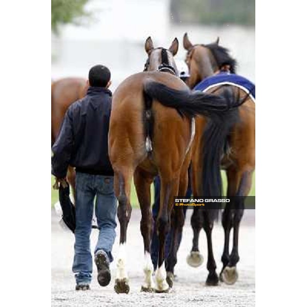 returning back home after the race Milan, 11st april 2010 ph. Stefano Grasso