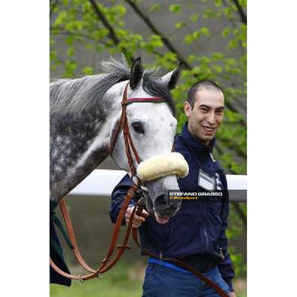 Voila Ici in the paddock of Premio Federico Regoli Milan, 12st april 2010 ph. Stefano Grasso