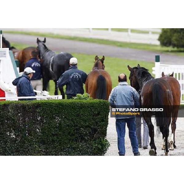 the horses returning home after the race Milan, 12st april 2010 ph. Stefano Grasso