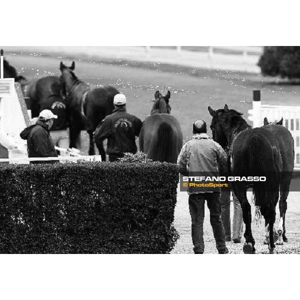 the horses returning home after the race Milan, 12st april 2010 ph. Stefano Grasso