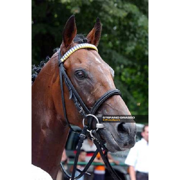 close up for Intendant in the winner circle of Grosser Dallmayr Preis Munchen 1st august 2004 ph. Stefano Grasso