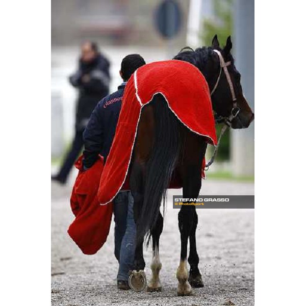 returning back home after the race Milan, 12st april 2010 ph. Stefano Grasso