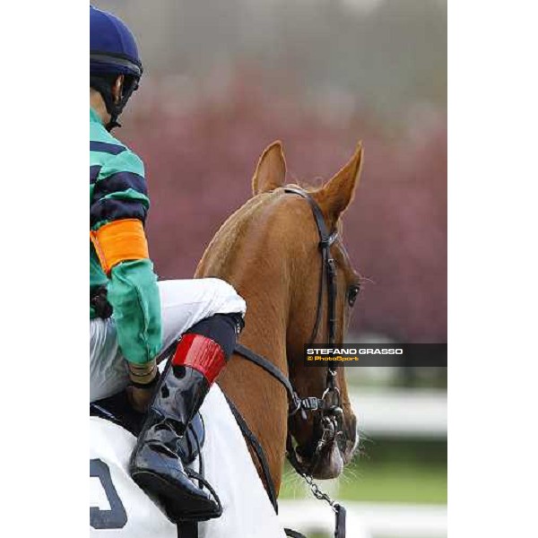 Dario Vargiu on Lovisa Beat parading in the paddock of Premio Seregno Milan, 12st april 2010 ph. Stefano Grasso
