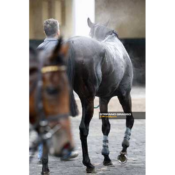 Pisa San Rossore, 21st march 2010 ph. Stefano Grasso