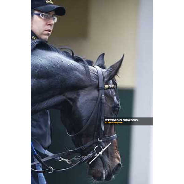 Pisa, 21st march 2010 ph. Stefano Grasso