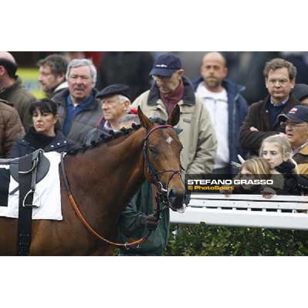 Pisa San Rossore, 21st march 2010 ph. Stefano Grasso