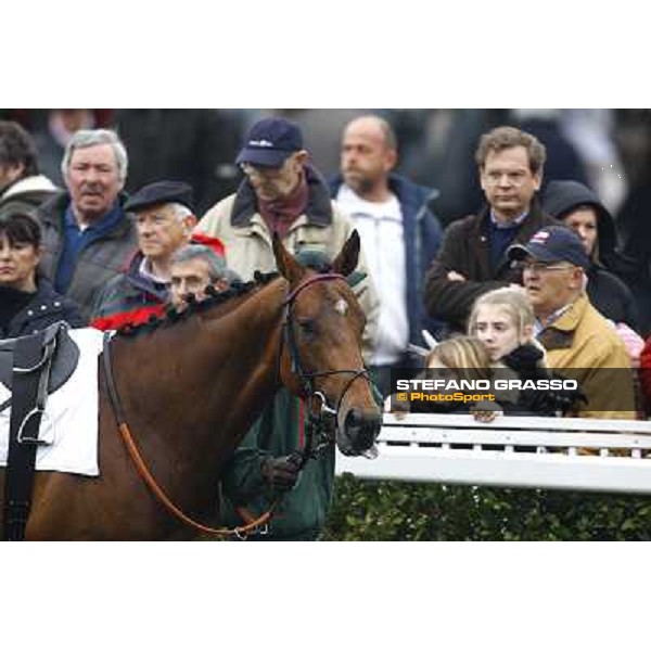 Pisa San Rossore, 21st march 2010 ph. Stefano Grasso