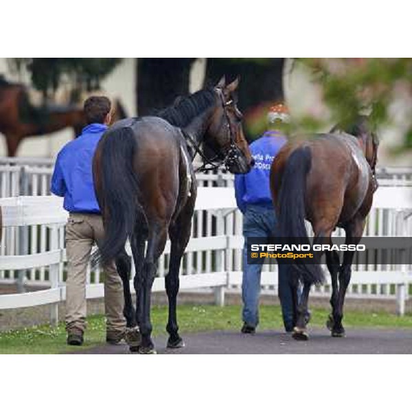 Kidnapping returns home after winning the Premio Emanuele Filiberto Milan - San Siro, 17th april 2010 ph. Stefano Grasso