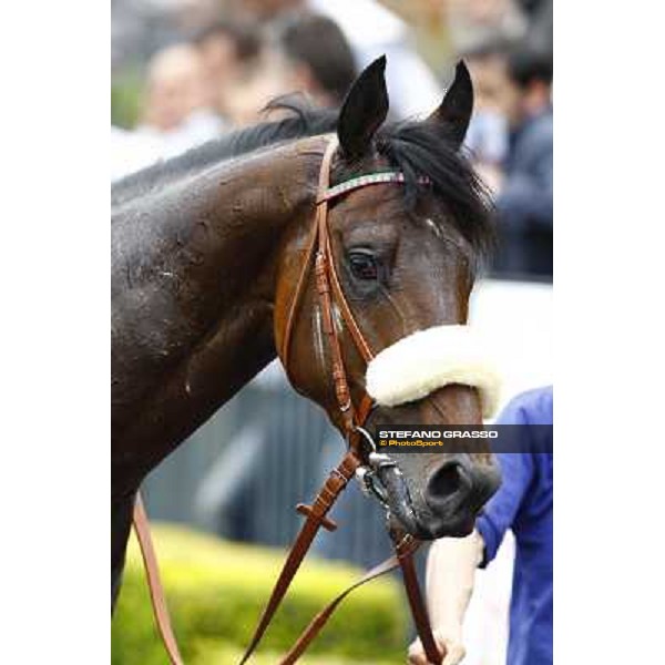 Worthadd - Mirco Demuro - Premio Parioli ph. Stefano Grasso