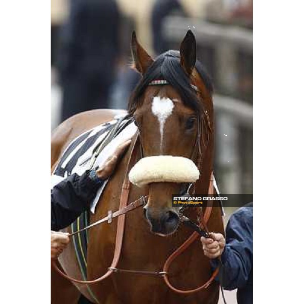 Abaton Rome Capannelle, 18th april 2010 ph. Stefano Grasso
