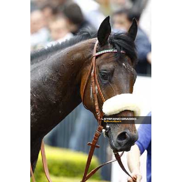 Worthadd -Premio Parioli Rome Capannelle, 18th april 2010 ph. Stefano Grasso
