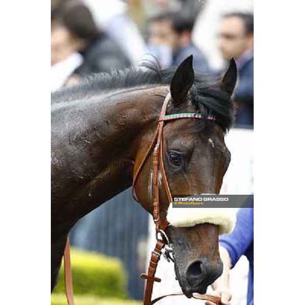 Worthadd - Premio Parioli Rome Capannelle, 18th april 2010 ph. Stefano Grasso