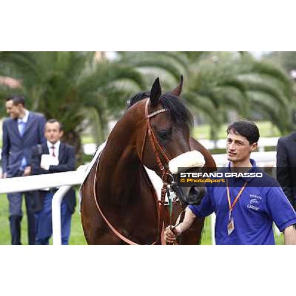 Worthadd - Premio Parioli Rome Capannelle, 18th april 2010 ph. Stefano Grasso