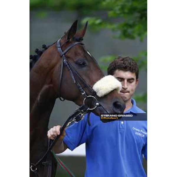 Jakkalberry winner of the Premio Ambrosiano Milan, San Siro racetrack 24th april 2010 ph. Stefano Grasso