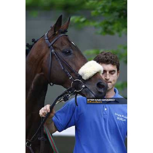 Jakkalberry winner of the Premio Ambrosiano Milan, San Siro racetrack 24th april 2010 ph. Stefano Grasso