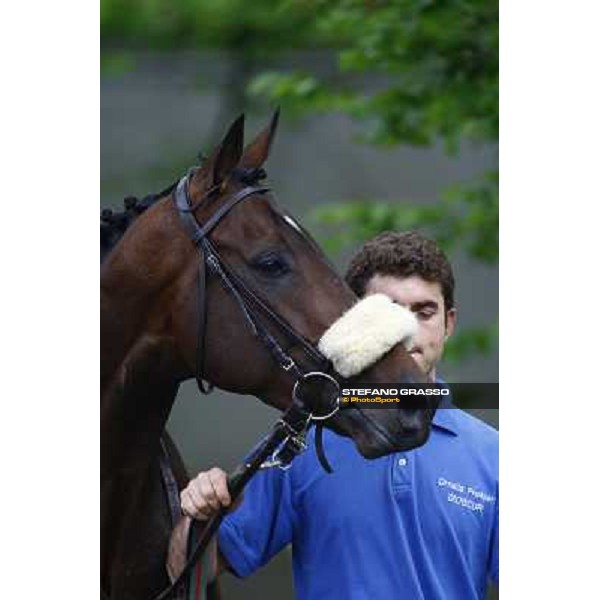 Jakkalberry winner of the Premio Ambrosiano Milan, San Siro racetrack 24th april 2010 ph. Stefano Grasso