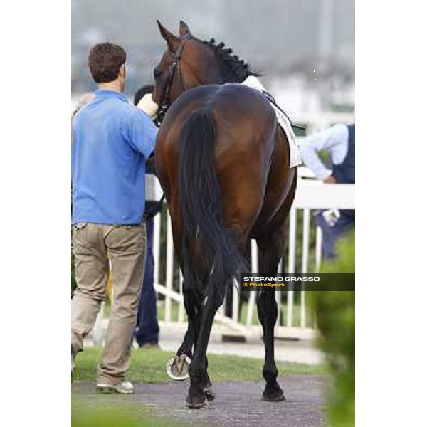 Jakkalberry winner of the Premio Ambrosiano Milan, San Siro racetrack 24th april 2010 ph. Stefano Grasso