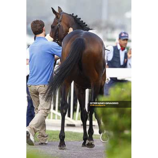 Jakkalberry winner of the Premio Ambrosiano Milan, San Siro racetrack 24th april 2010 ph. Stefano Grasso