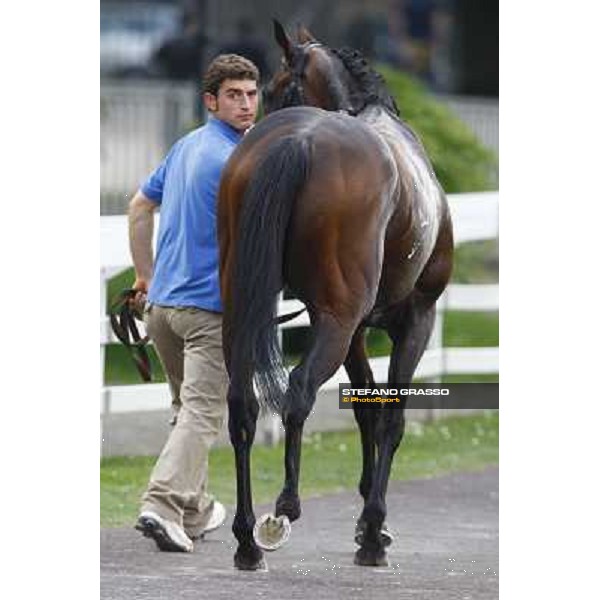 Jakkalberry winner of the Premio Ambrosiano Milan, San Siro racetrack 24th april 2010 ph. Stefano Grasso