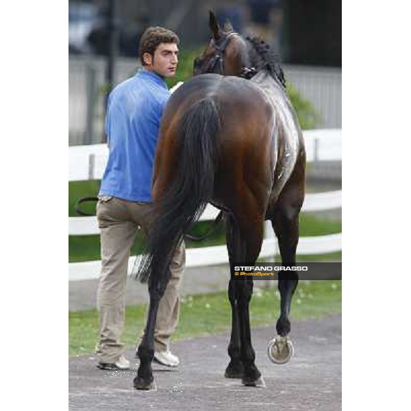 Jakkalberry winner of the Premio Ambrosiano Milan, San Siro racetrack 24th april 2010 ph. Stefano Grasso