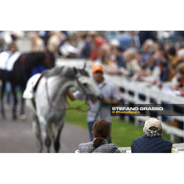 the paddock of San Siro Milan, San Siro 24th april 2010 ph. Stefano Grasso