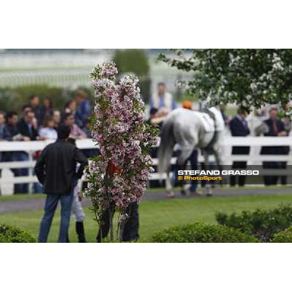 the paddock at San Siro Milan, San Siro 24th april 2010 ph. Stefano Grasso