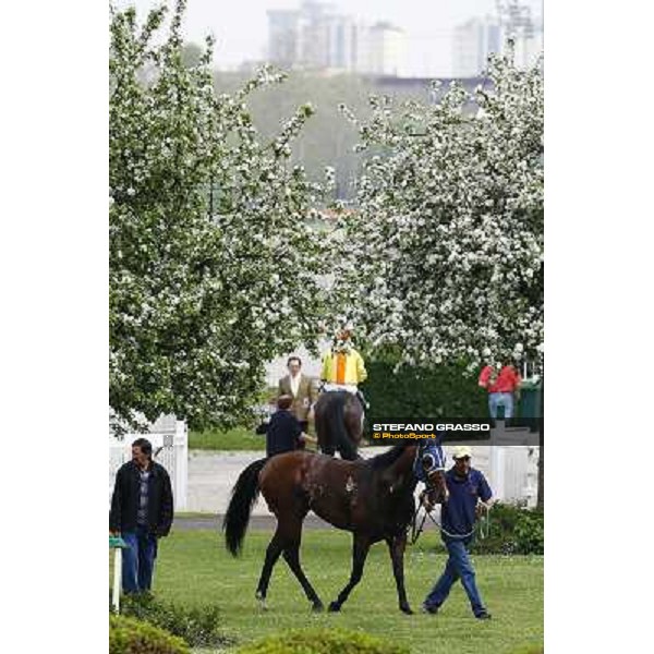 returning home Milan, San Siro 24th april 2010 ph. Stefano Grasso