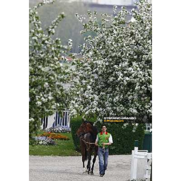 returning home Milan, San Siro 24th april 2010 ph. Stefano Grasso