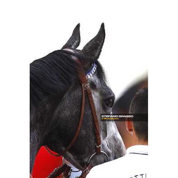 Cima de Trionphe in the paddock Milan, San Siro 24th april 2010 ph. Stefano Grasso