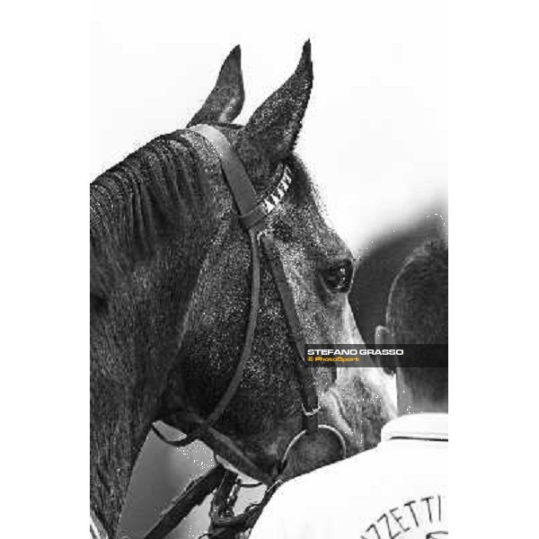 Cima de Trionphe in the paddock Milan, San Siro 24th april 2010 ph. Stefano Grasso