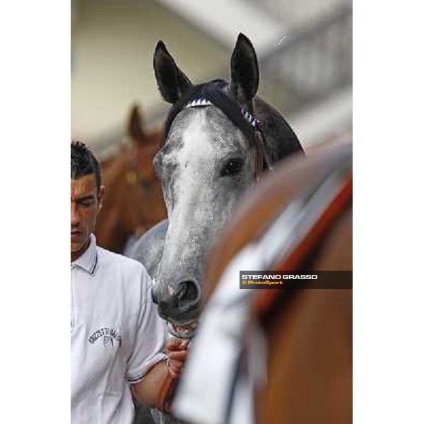 Cima de Trionphe in the paddock Milan, San Siro 24th april 2010 ph. Stefano Grasso