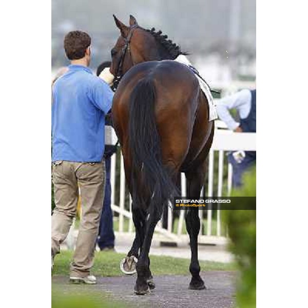 Jakkalberry in the paddock Milan, San Siro 24th april 2010 ph. Stefano Grasso