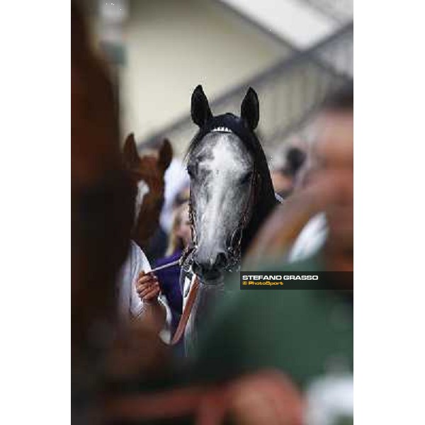 Cima de Trionphe in the paddock Milan, San Siro 24th april 2010 ph. Stefano Grasso