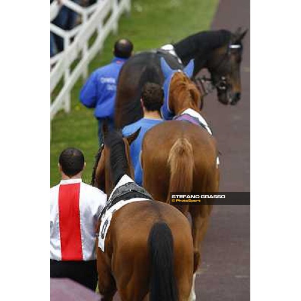 The Paddock Milan, San Siro 17th april 2010 ph. Stefano Grasso
