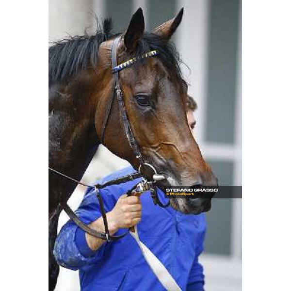 Kidnapping - Premio Emanuele Filiberto Milan, San Siro 17th april 2010 ph. Stefano Grasso