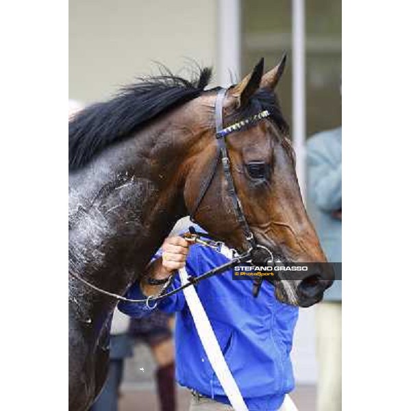 Kidnapping winner of Premio Emanuele Filiberto Milan, San Siro 17th april 2010 ph. Stefano Grasso