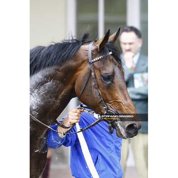 Kidnapping winner of Premio Emanuele Filiberto Milan, San Siro 17th april 2010 ph. Stefano Grasso