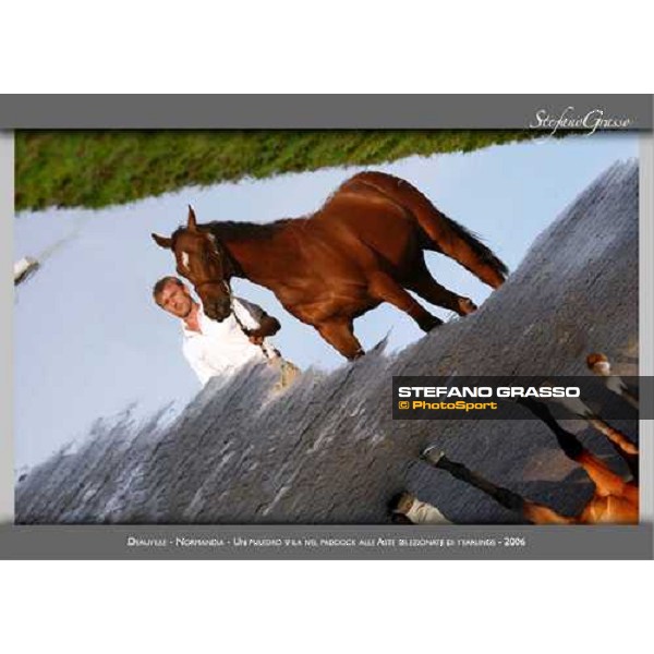 a new photo exibition by Stefano Grasso 2010