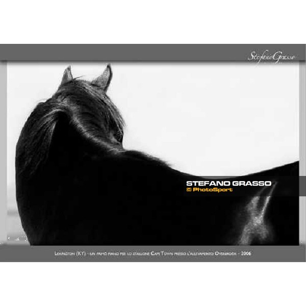 a new photo exibition by Stefano Grasso 2010