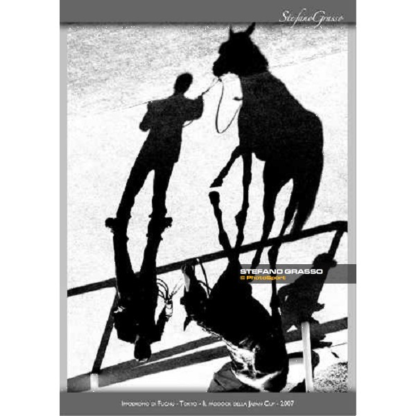 a new photo exibition by Stefano Grasso 2010