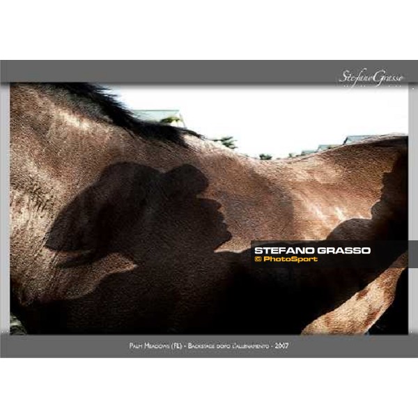 a new photo exibition by Stefano Grasso 2010