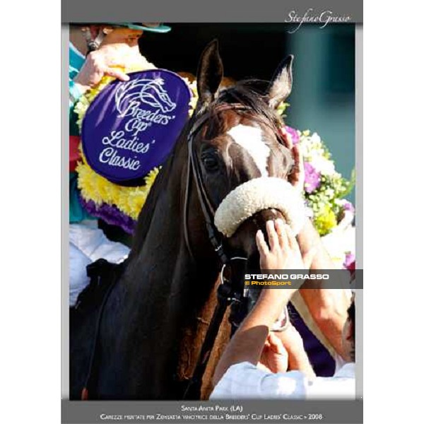 a new photo exibition by Stefano Grasso 2010